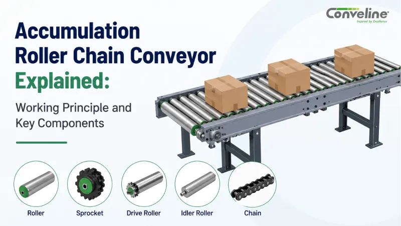 Accumulation Roller Chain Conveyor Explained: Working Principle and Key Components